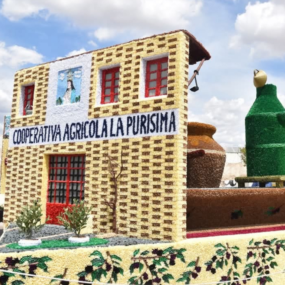 Premios San Isidro Yecla